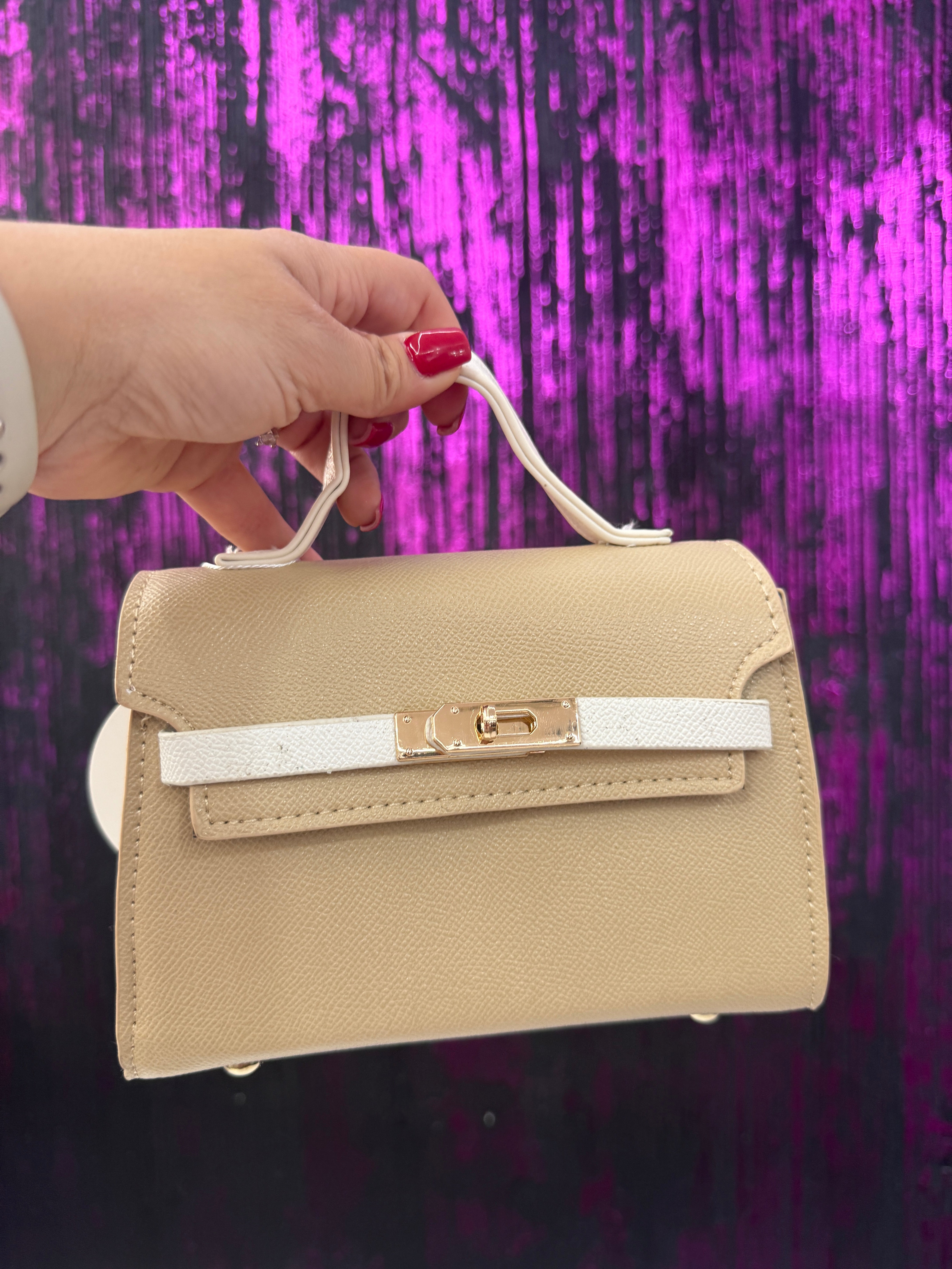 Borsa mod.bicolore hermes